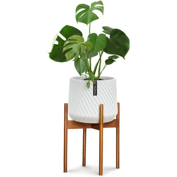 Mid Century Modern Plant Stand for Indoor Plants, Acacia Wood -  12" Pot - Picture 1 of 6
